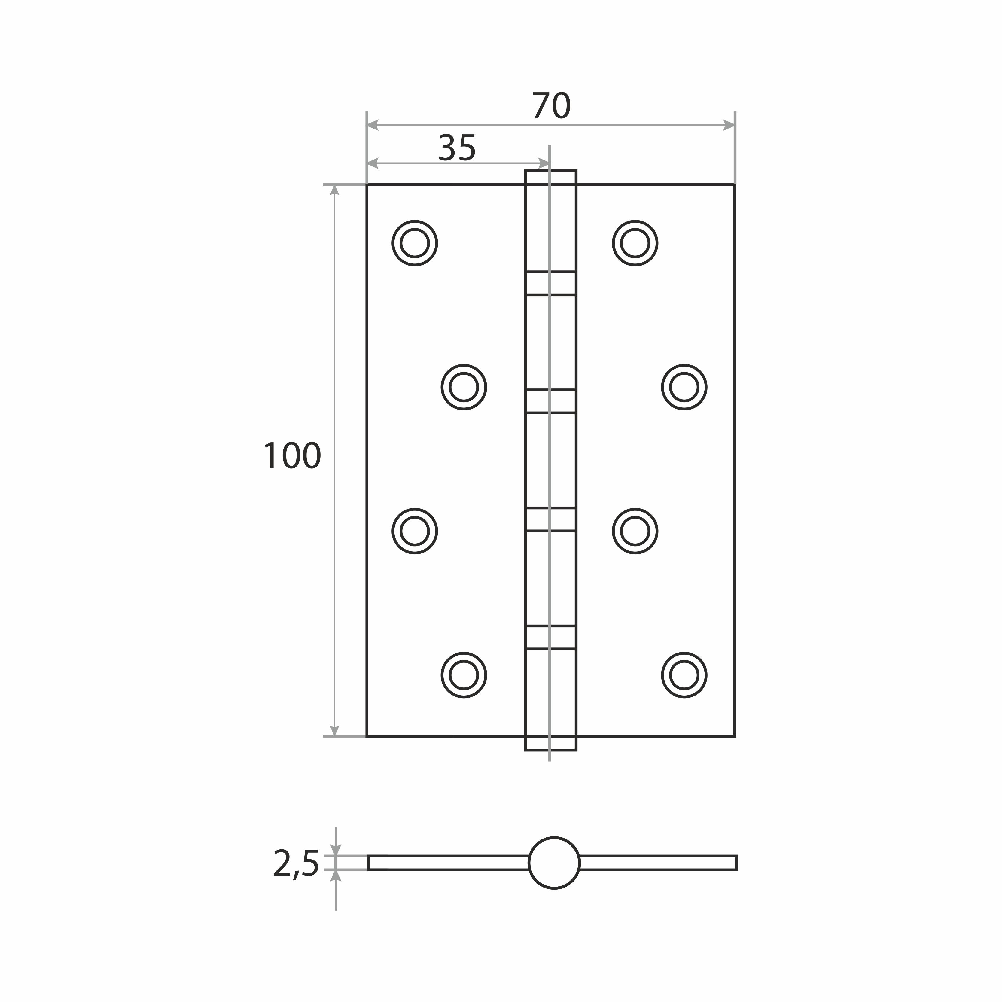 Петля накладная Trodos 100х70х2,5 CP хром, ф/упак